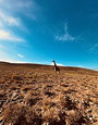 Sanbona Wildlife Reserve, South Africa