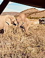 Sanbona Wildlife Reserve, South Africa