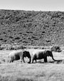 Sanbona Wildlife Reserve