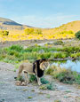 Sanbona Wildlife Reserve