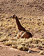 Sanbona Wildlife Reserve