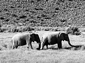 Sanbona Wildlife Reserve, South Africa